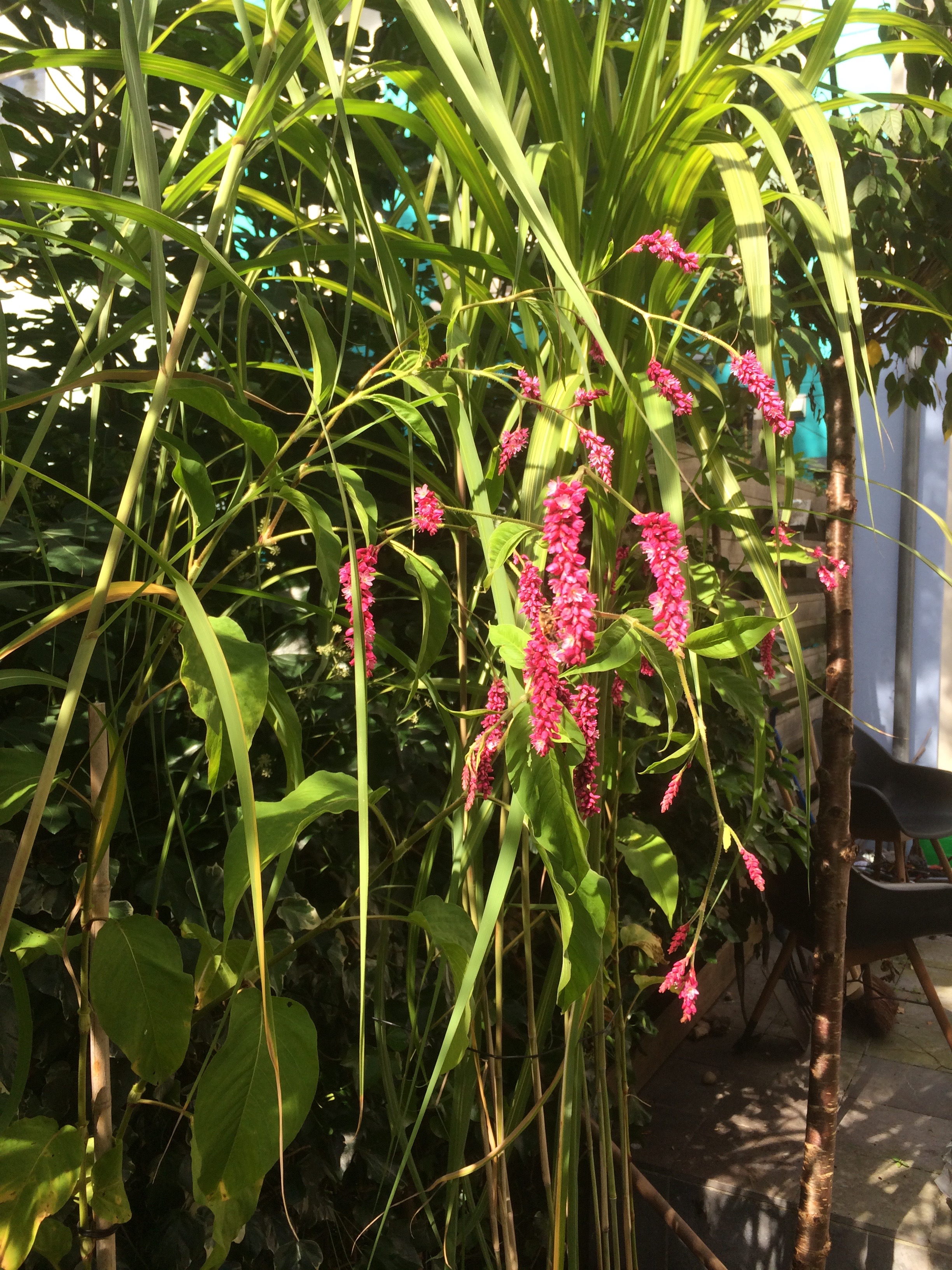 Tuin aanleggen Amsterdam Het Natuurtalent